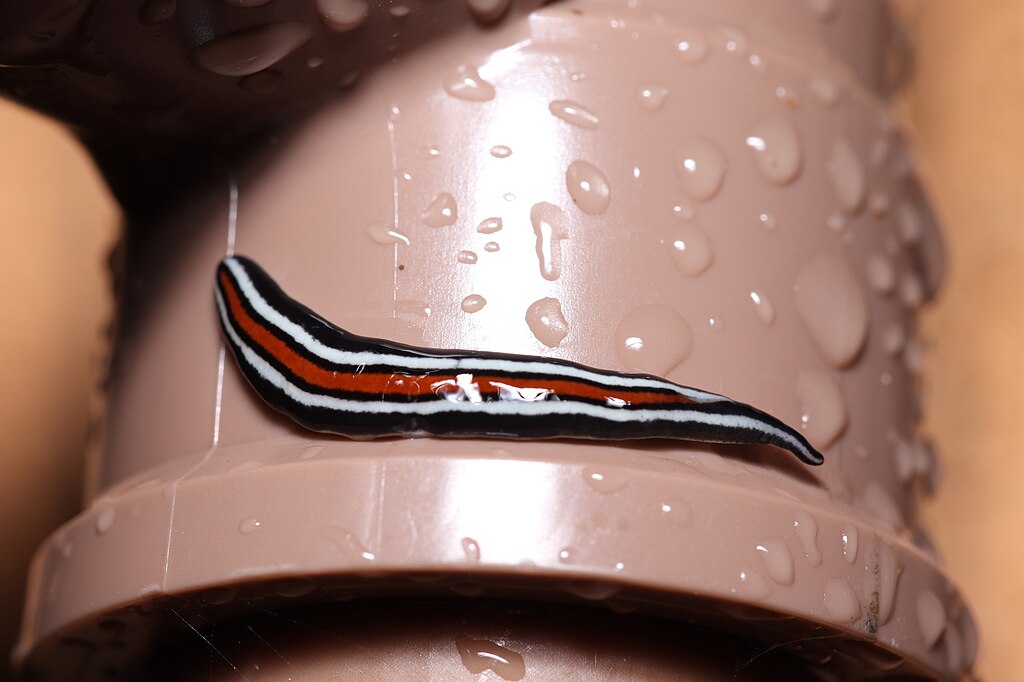 复合机能风衣，动态展示防水测试水滴效果