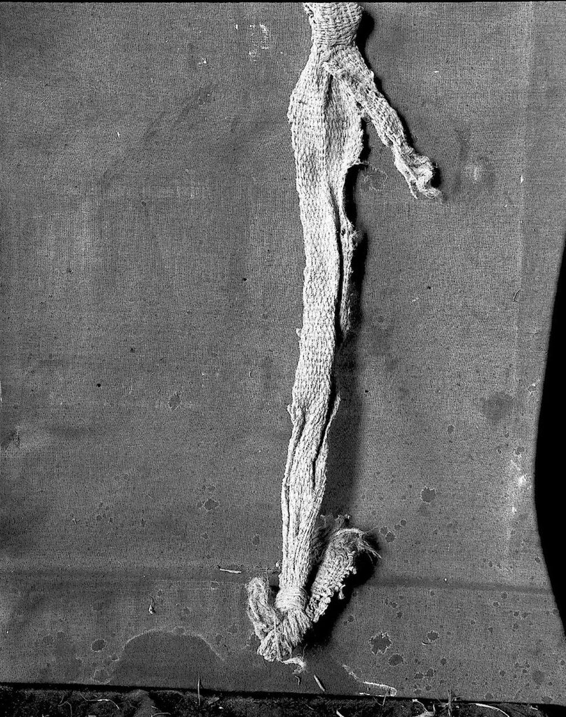 未经剪裁的胚布样