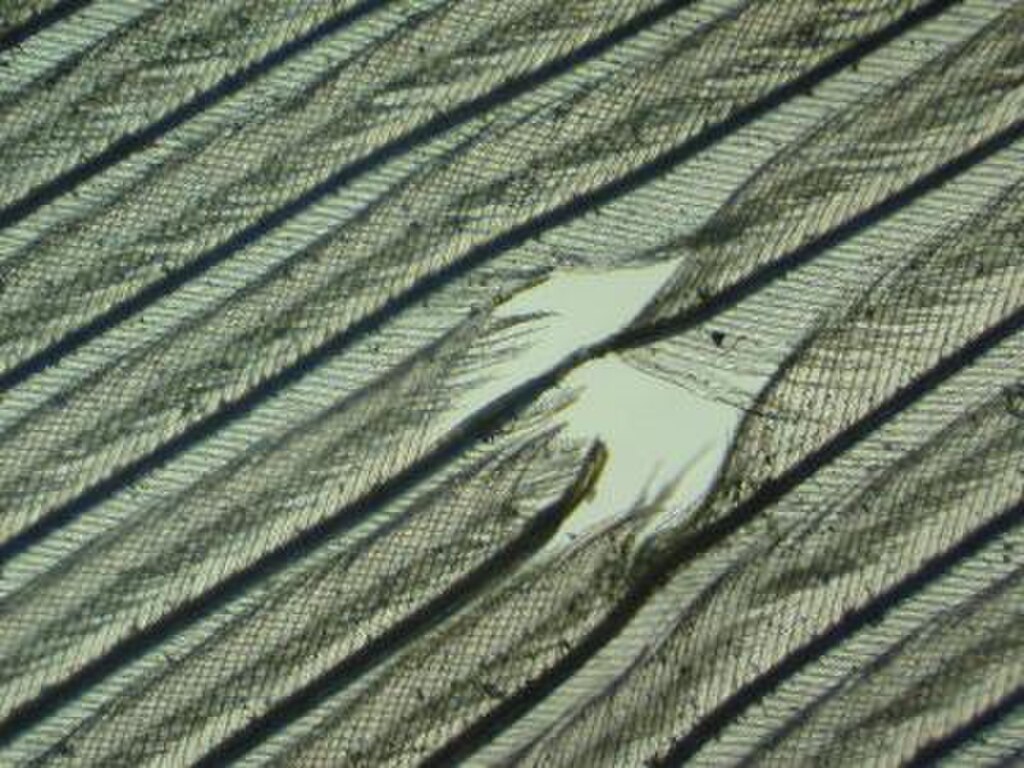 双针车缝线特写