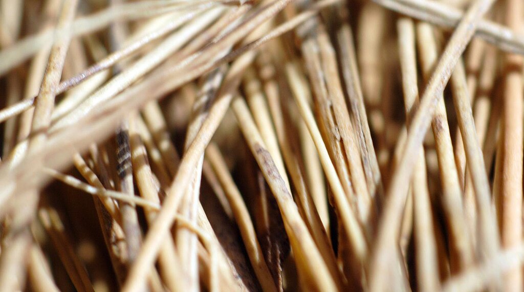 工作室外套轮廓