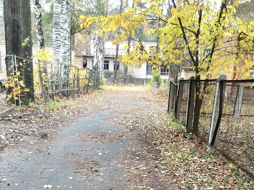 秋末林荫道的诗意氛围