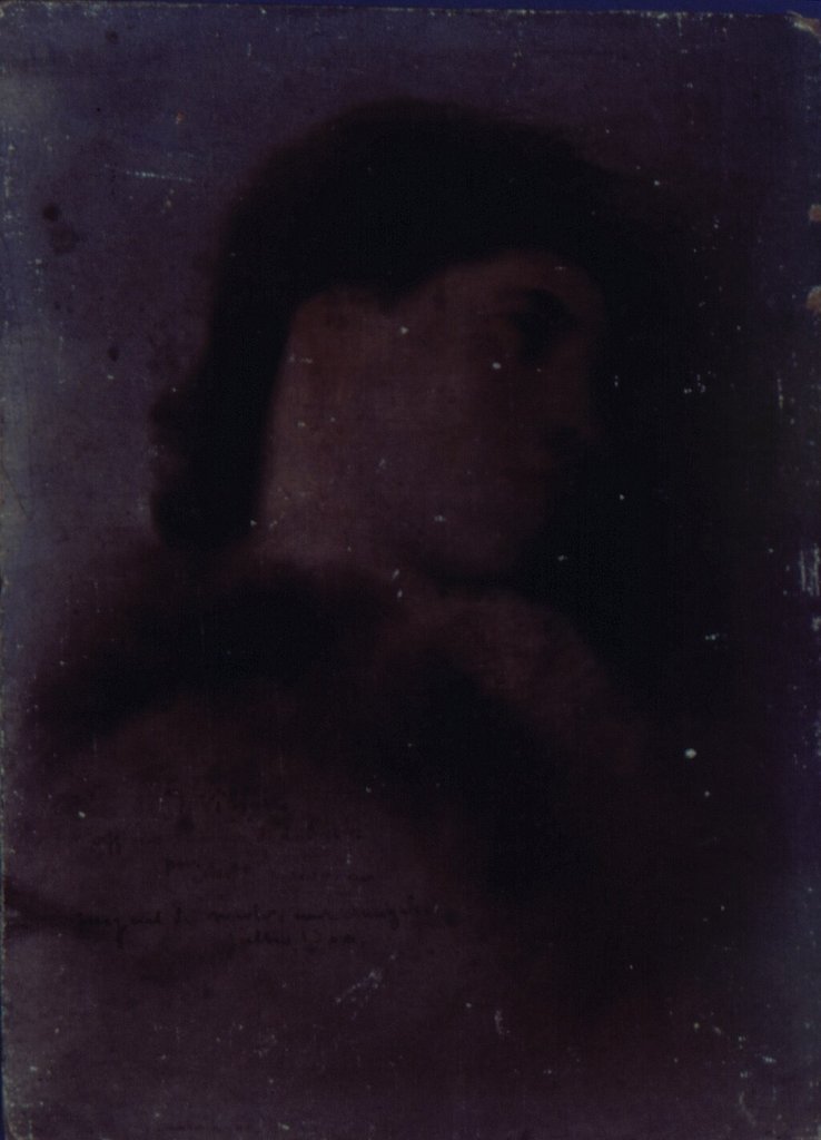 舒适的针织面料展示