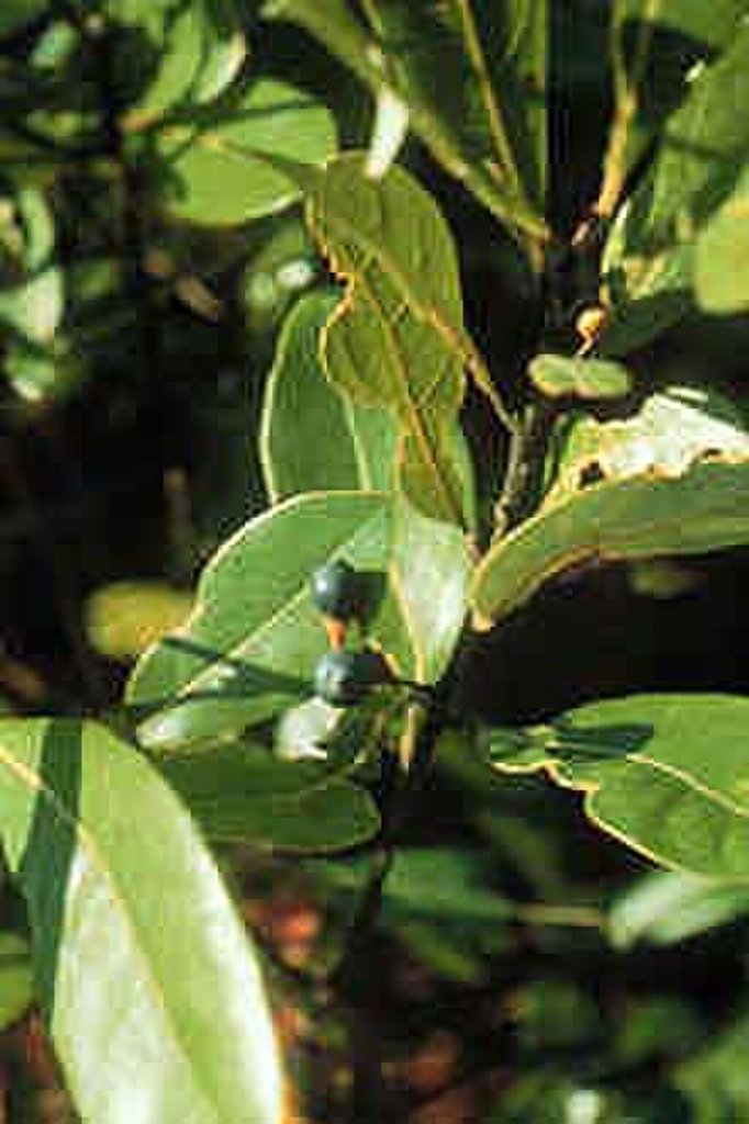 抽象艺术与时尚的碰撞，展现创意无限