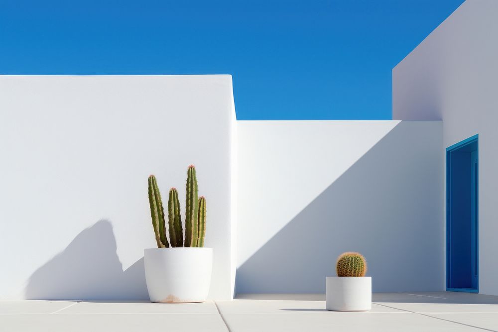 Poetic Nature Atmosphere